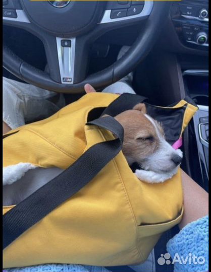 Сумка переноска для собак
