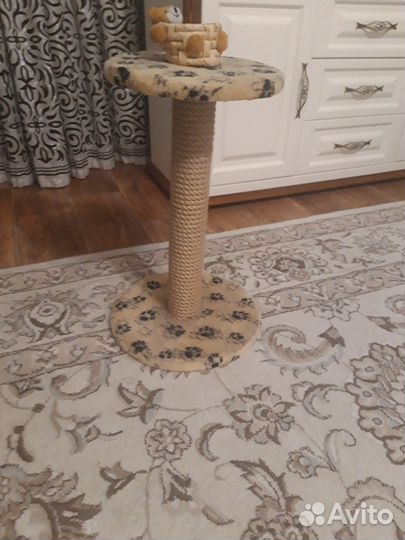 Когтеточка