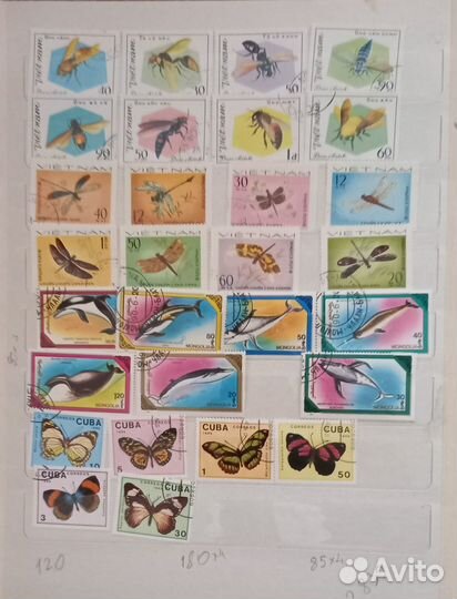 Почтовые марки из коллекции (Флора-Фауна)