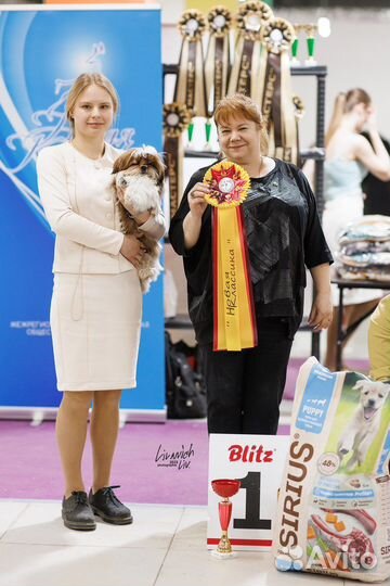 Услуги хендлера