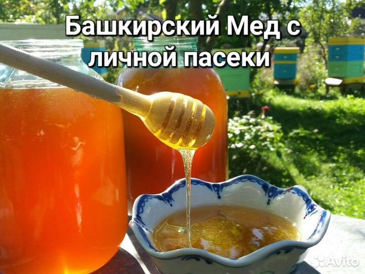 Мед Башкирский в 3х литровой банке и оптом