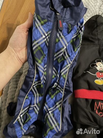 Вещи для маленьких собак