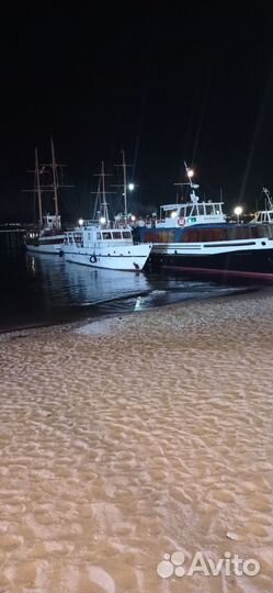 Аквариумистика