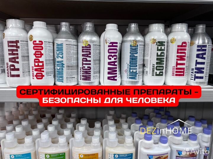 Уничтожение клопов тараканов / Дезинфекция