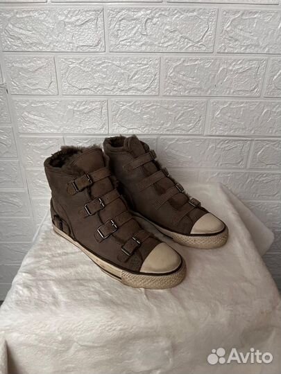 Кеды Ash оригинал