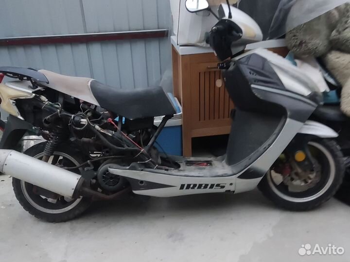 Скутер ирбис