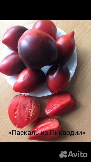 Семена сортовых томатов Минусинские