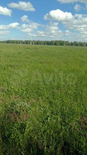 Участок 12 сот. (ИЖС)