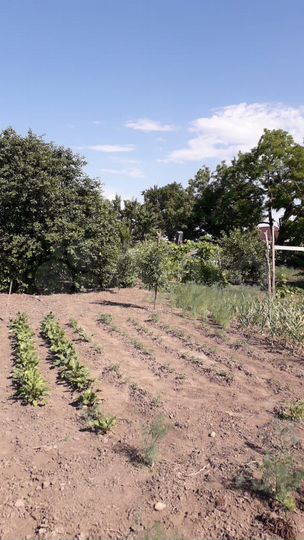 Дом 80 м² на участке 24 сот.