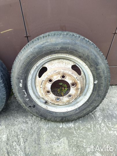 Forward Professional А-12 185/75 R16