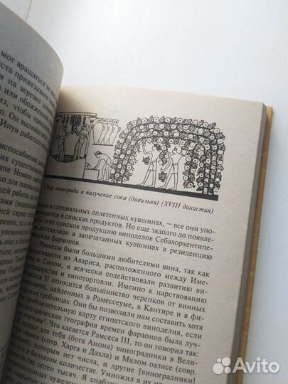 Книга Монте. Египет Рамсесов, 2000 г