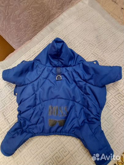 Одежда для собак