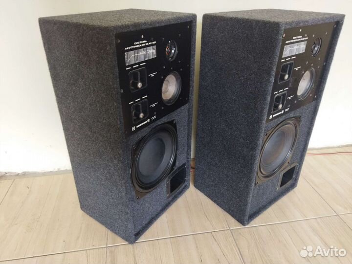 Колонки Радиотехника 35ас-201