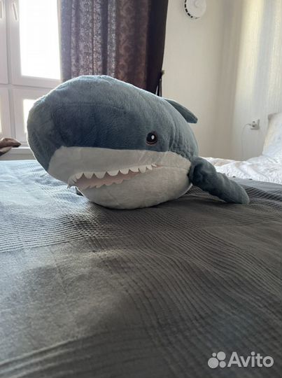 Акула блохэй из IKEA