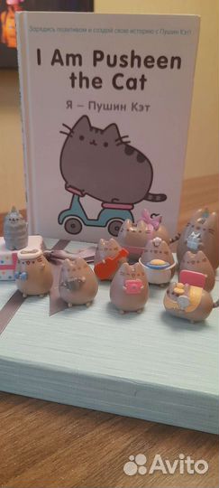 Pusheen cat