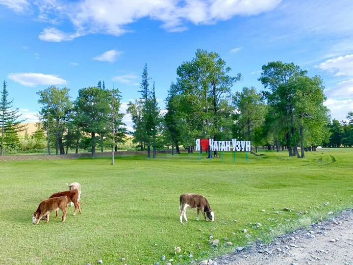 Участок 30,3 сот. (ИЖС)