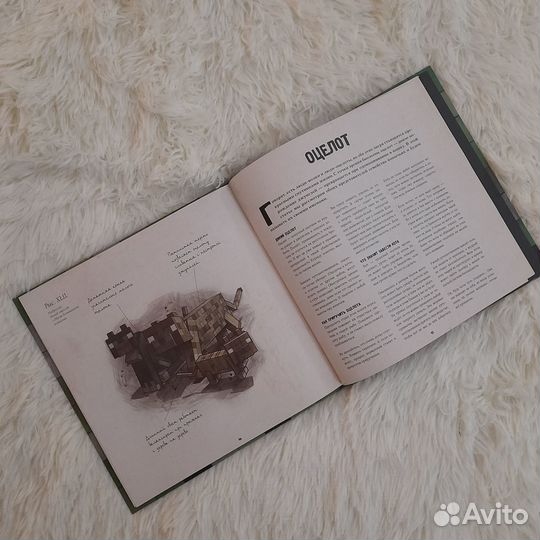 Книги Minecraft