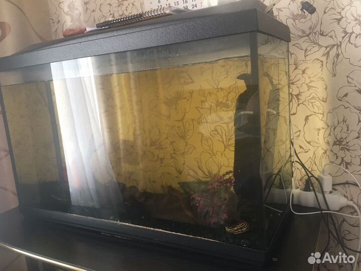 Аквариум 120 литров