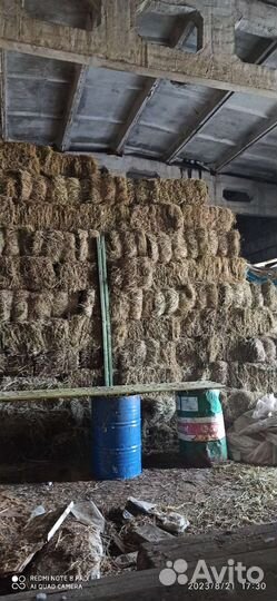 Сено в тюках