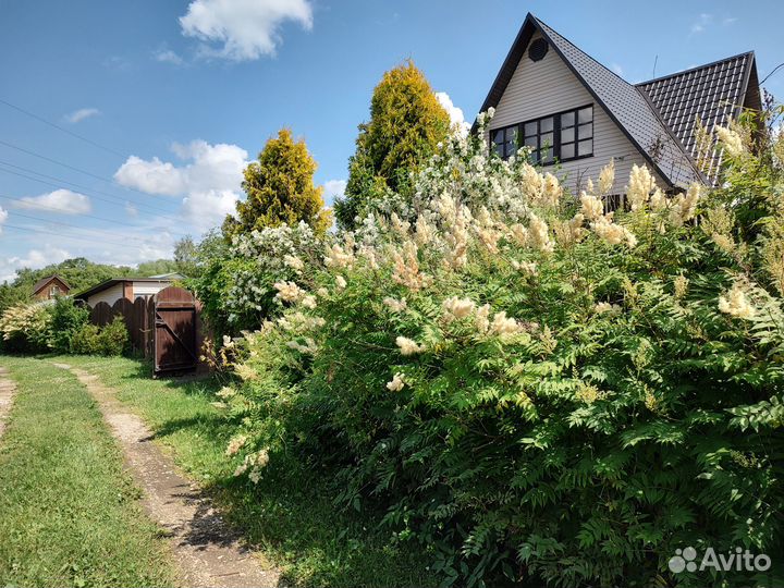 Рябинник, сирень, пузыреплодник, бирючина