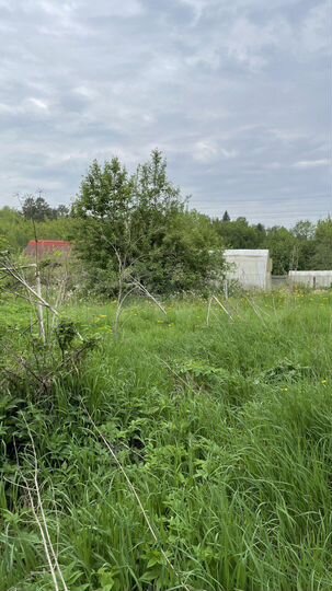 Участок 4 га (СНТ, ДНП)