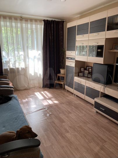 1-к. квартира, 30,6 м², 5/9 эт.