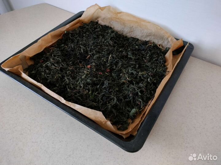 Иван чай, сбор июль 2023