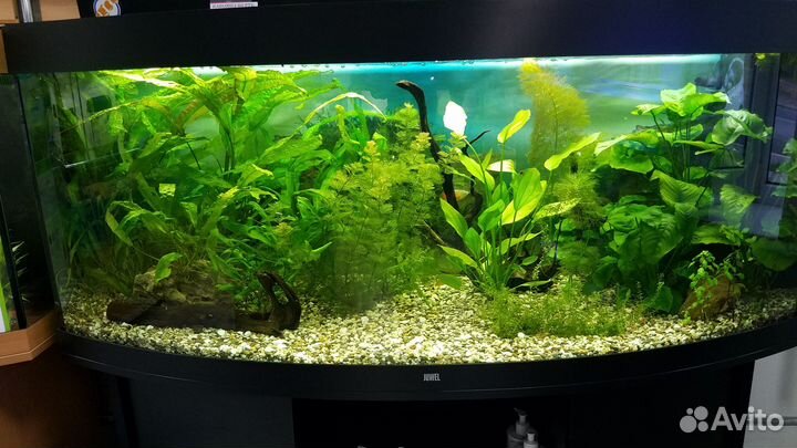 Всё для аквариума