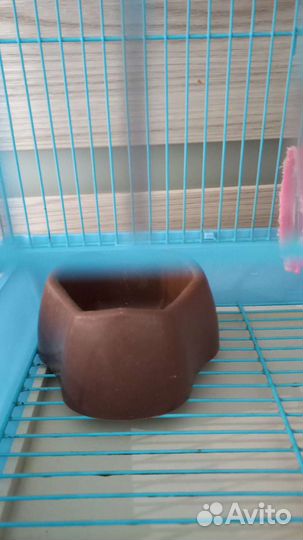 Клетка для хомяка