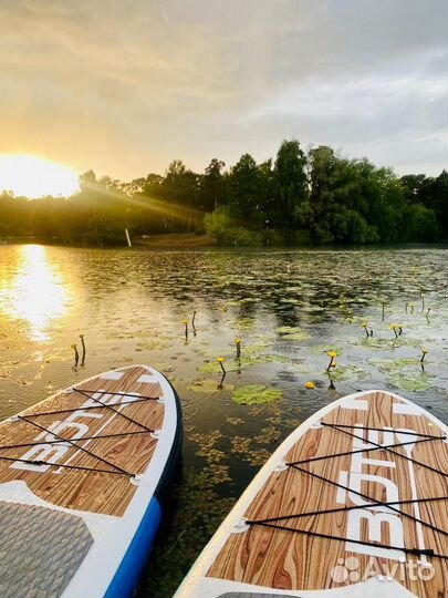 Sup board аренда и продажа