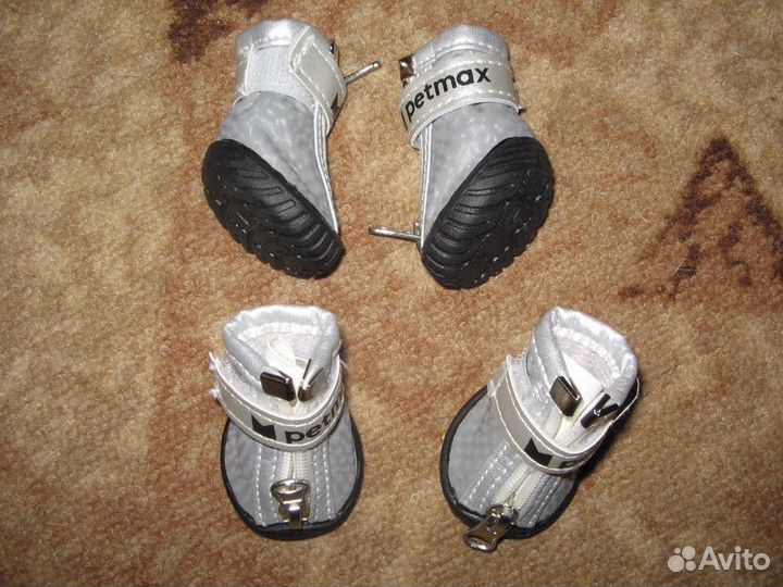 Товары для маленьких и больших собачек