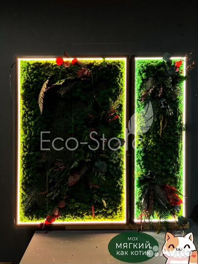 Панно со мхом и растениями 120 на 80 см