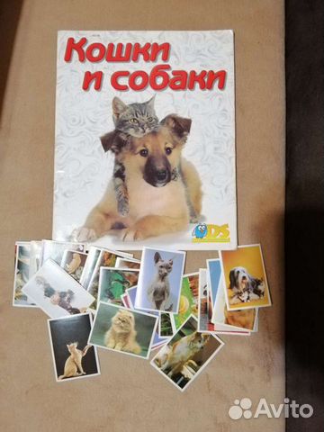 Наклейки panini к журналу Кошки и собаки