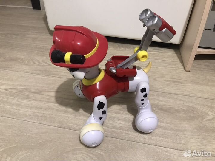 Щенячий patrol Маршал