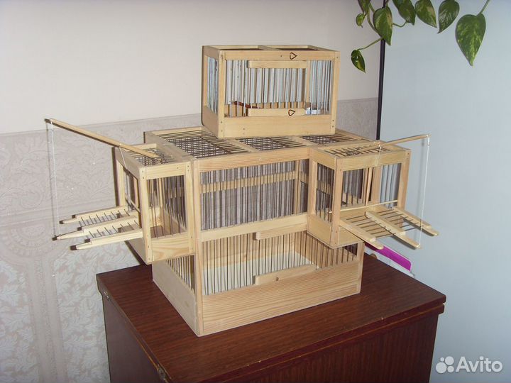 Клетки, хлопушки, цепки для птиц