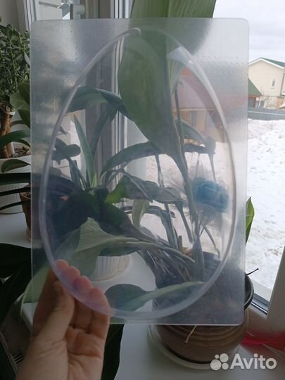 Форма для огромного шоколадного яйца