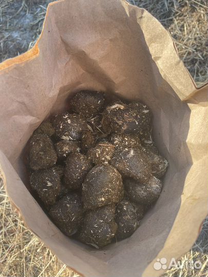 Конский навоз