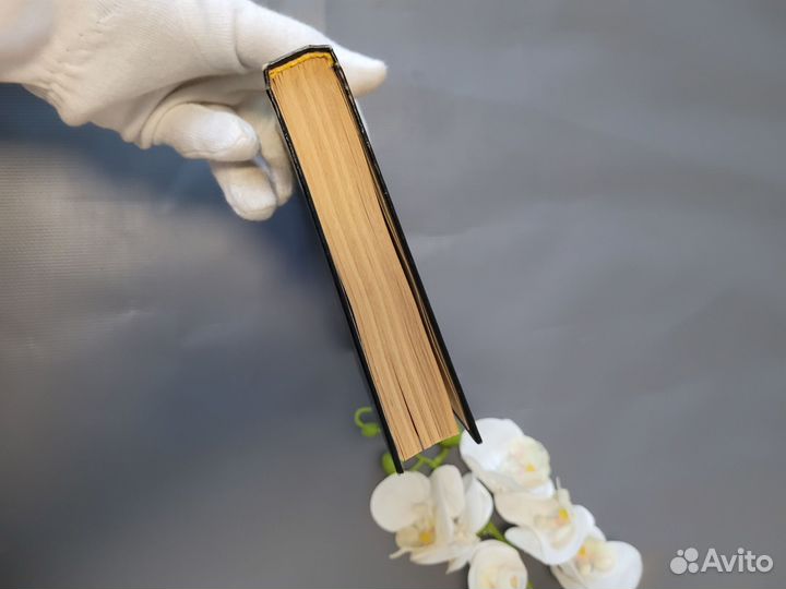 Маклин Макдональд Свидание в морге 1993