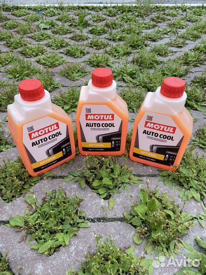 Антифриз motul auto cool optimal G12+