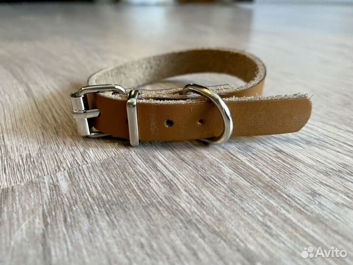 Ошейник для маленькой собаки или щенка