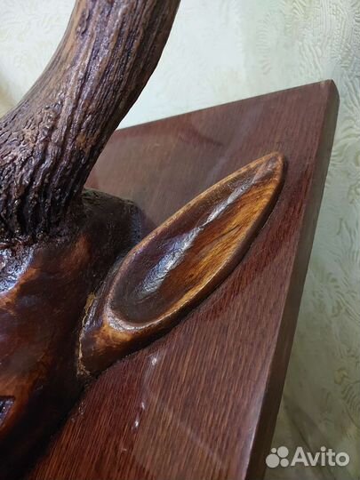 Голова Огромная Оленя Дерево сОригинальными Рогами