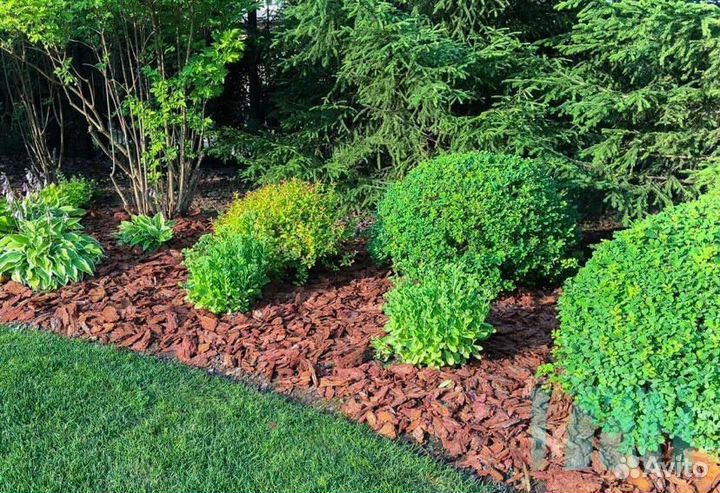 Мульча кора лиственницы