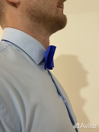 Бабочка garsia