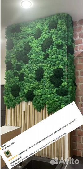 Стабилизированный мох для декора дизайн эко