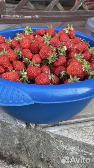 Домашние заготовки