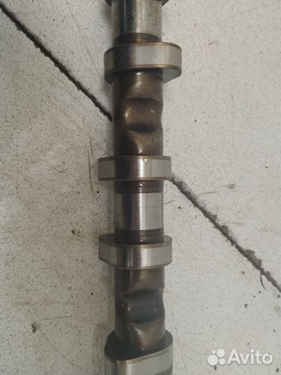 Распредвал впускной Шкода