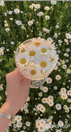 Аромадиагностика по селективной парфюмерии