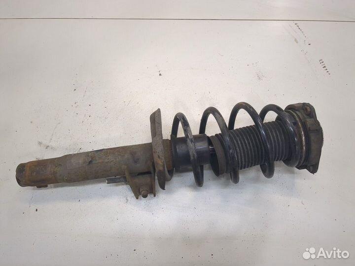 Амортизатор подвески Skoda Octavia (A5), 2005