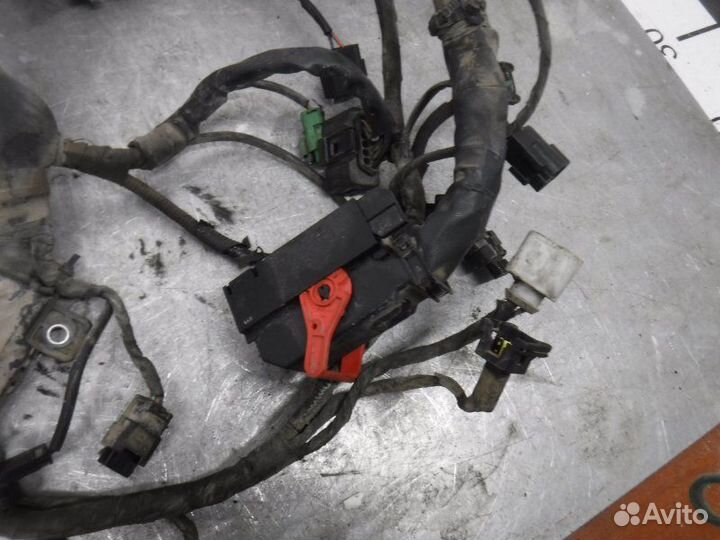 Проводка моторная на двигатель Ssang Yong Actyon