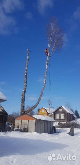 Удаление деревьев